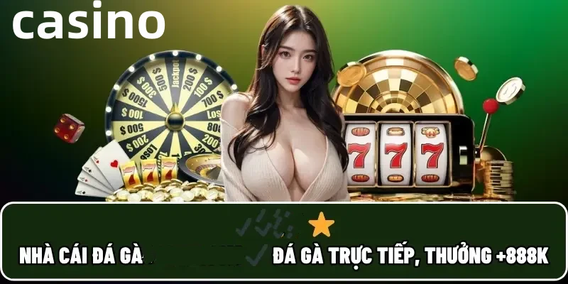 tin888